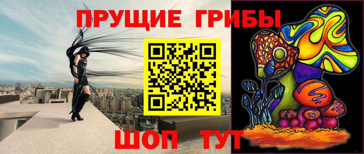 хочу   Псилоцибиновые грибы ЛСД  Вход с VPN  Заринск 